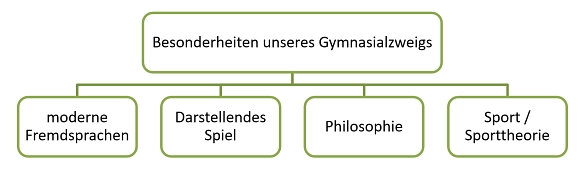 Gymnasialzweig1.png&nbsp;&copy;&nbsp;Sophie Scholl Gesamtschule